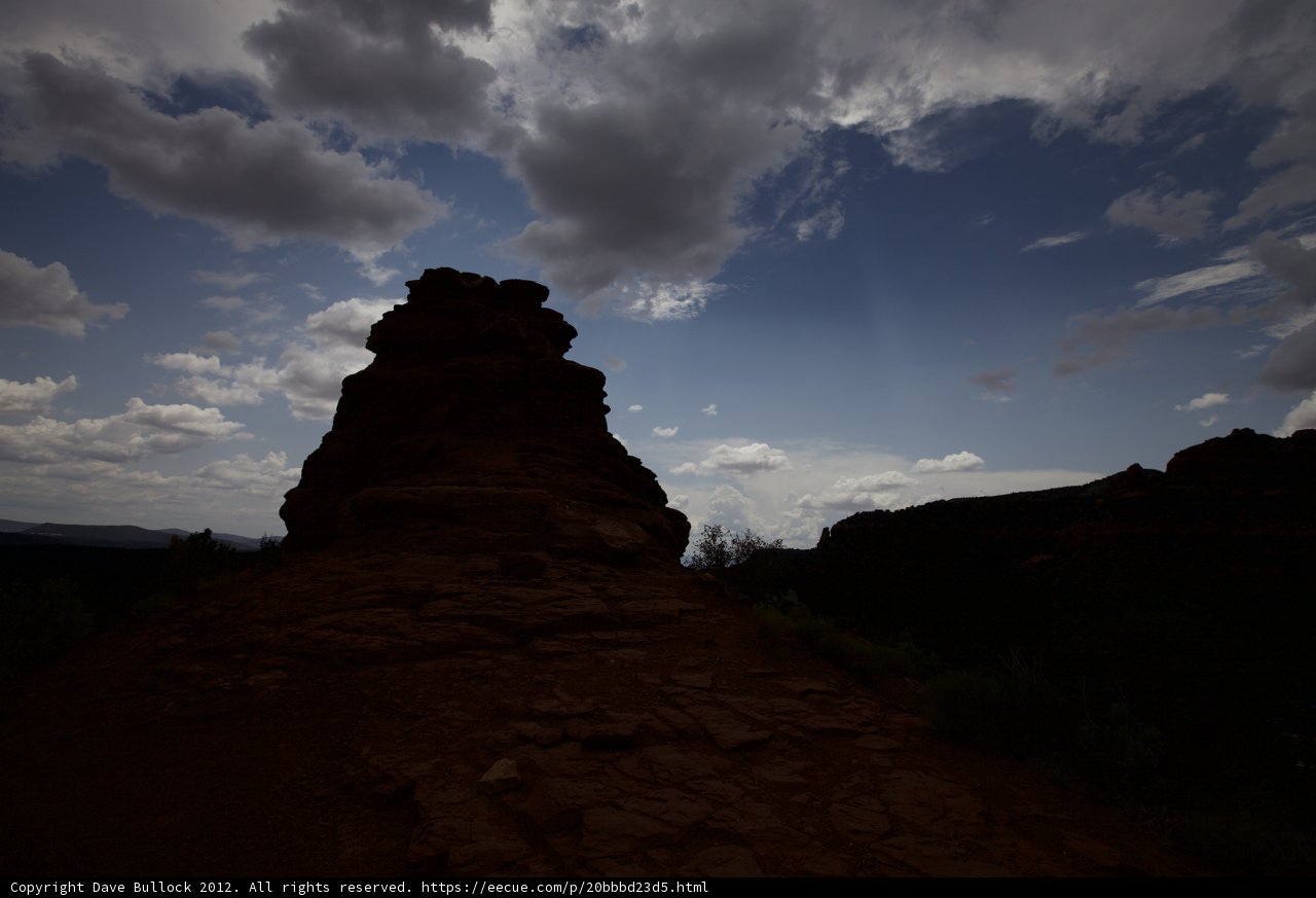 Majestic Silhouette