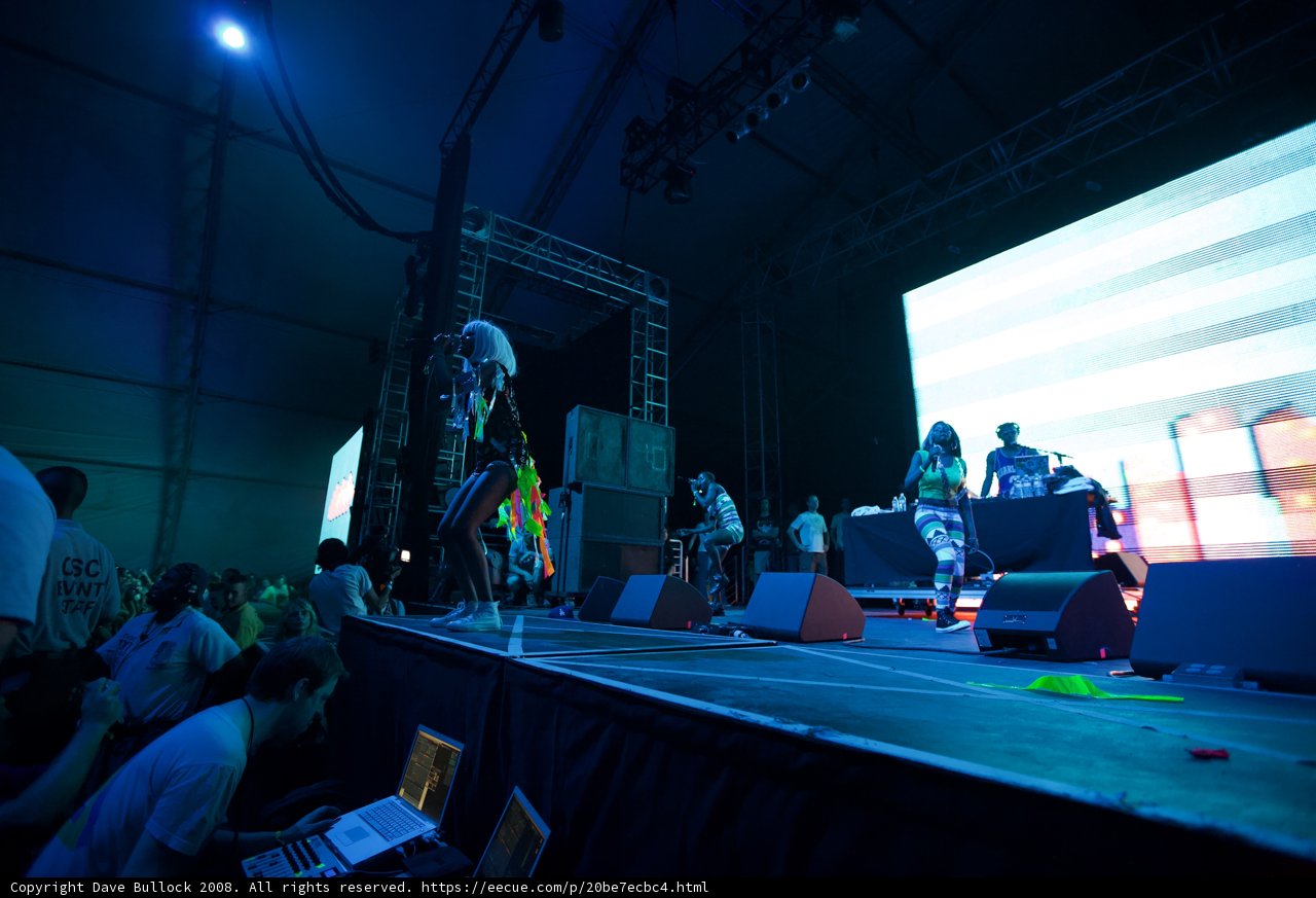Rosanna Arquette rocks the Coachella Stage with 18 other performers