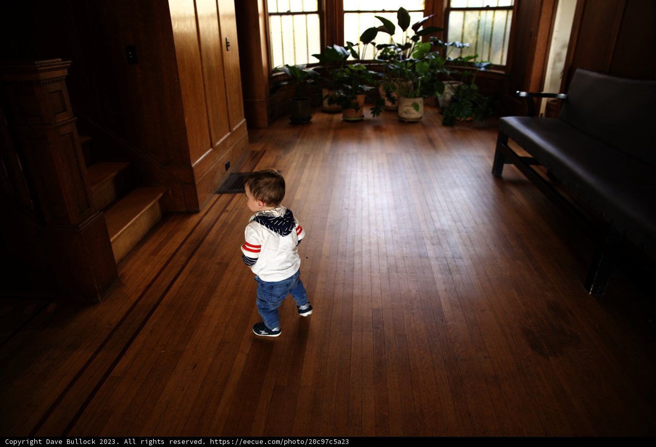 Exploring the Modern Living Room