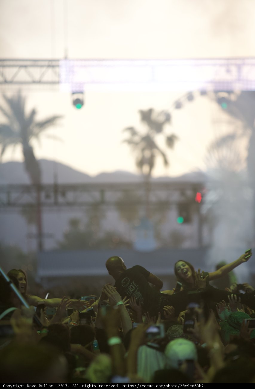 Coachella Crowd Vibes