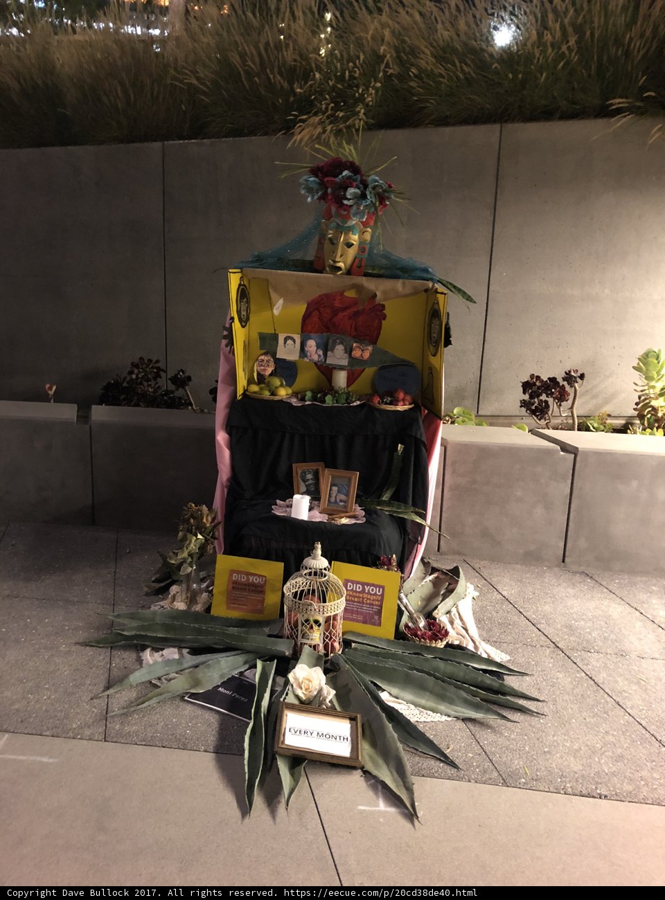 The Man and the Plants