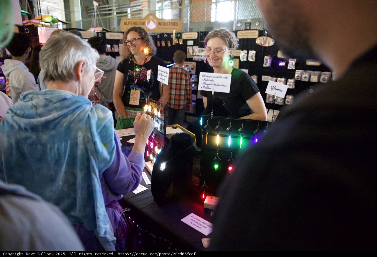 Illuminating Creations at Maker Faire 2025