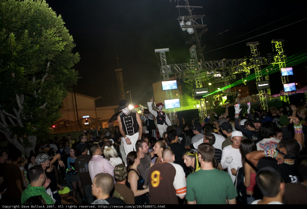 Nocturnal Concert Crowd