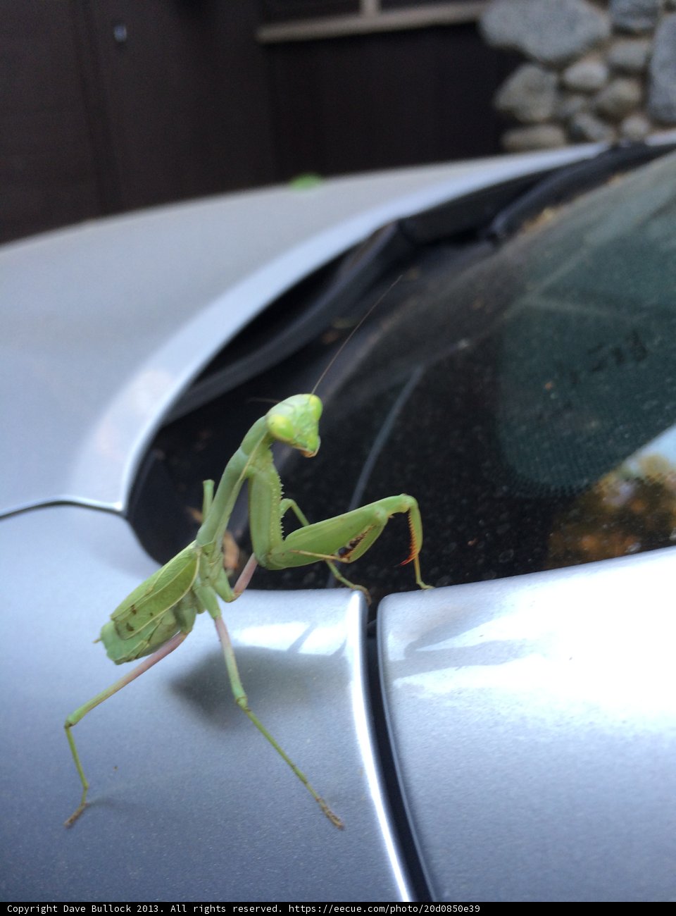 Car-Side Meditation