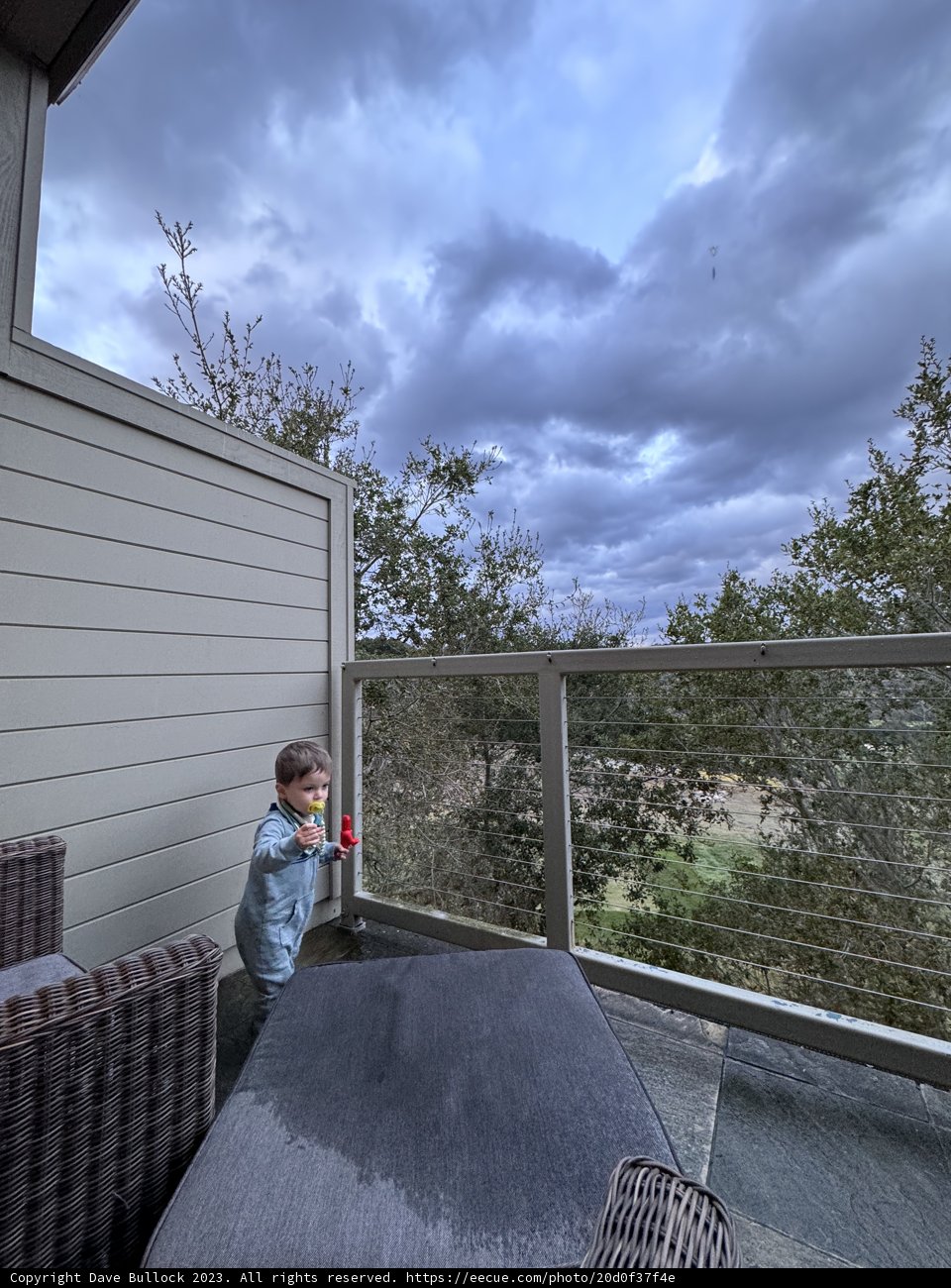 Relaxing Afternoons: Wesley's Outdoor Adventure