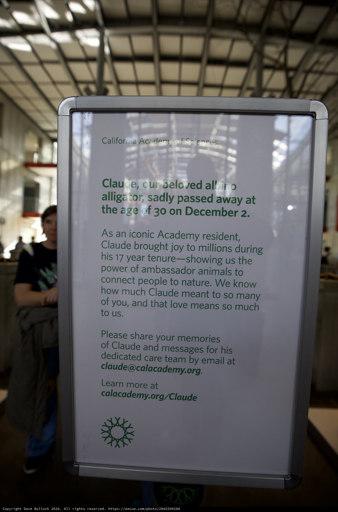 Memorial Tribute Sign for Claude the Alligator