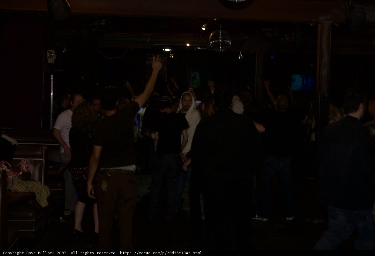 Nightclub Crowd Goes Wild
