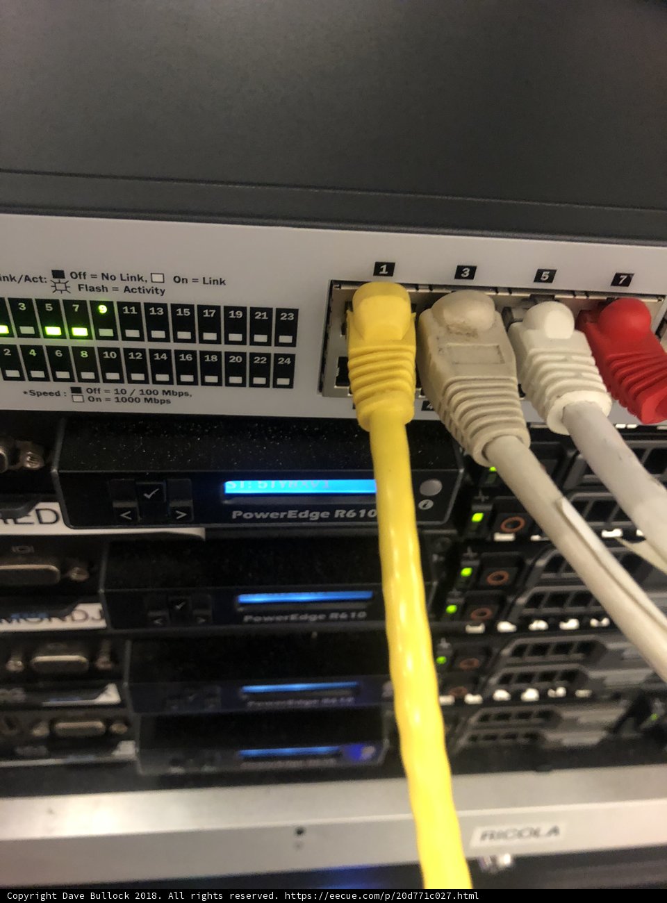 Wired for Success