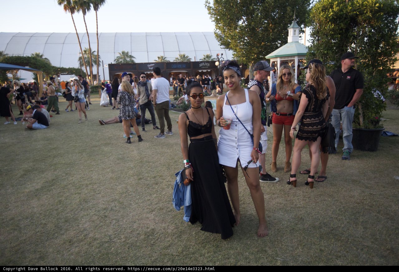 Fashionable Ladies at Coachella
