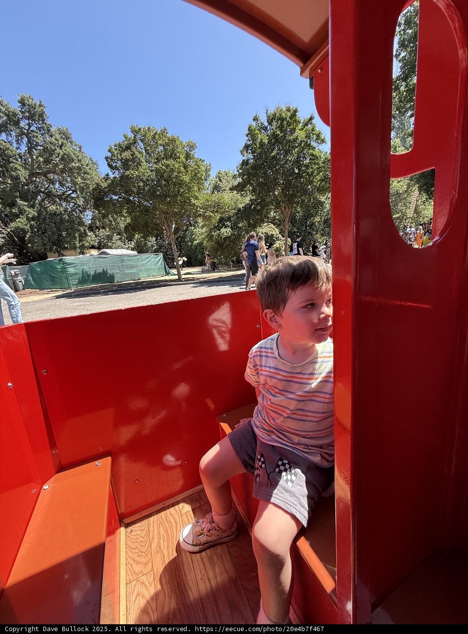 Summer Adventures in Walnut Creek