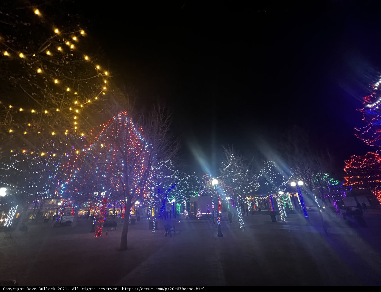 City Aglow with Christmas Light
