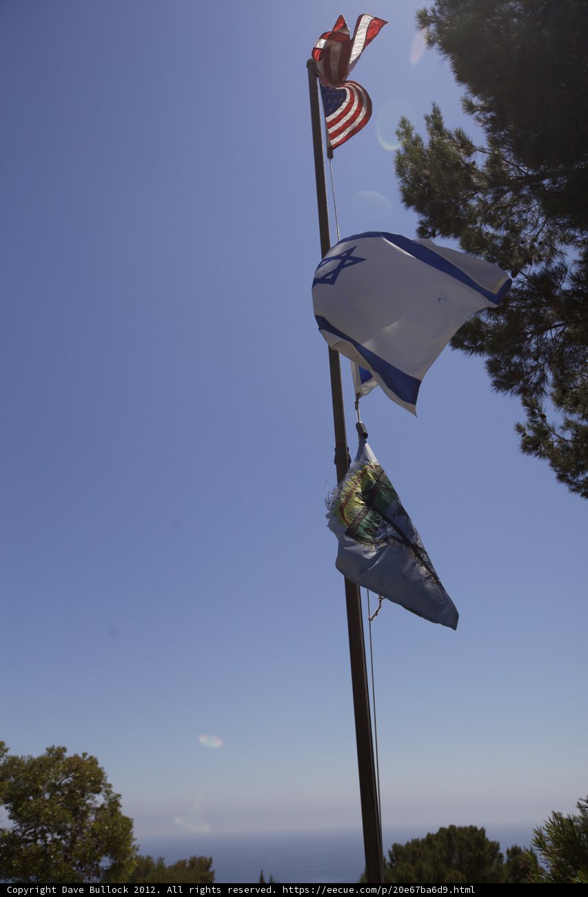 Proudly waving in the blue sky