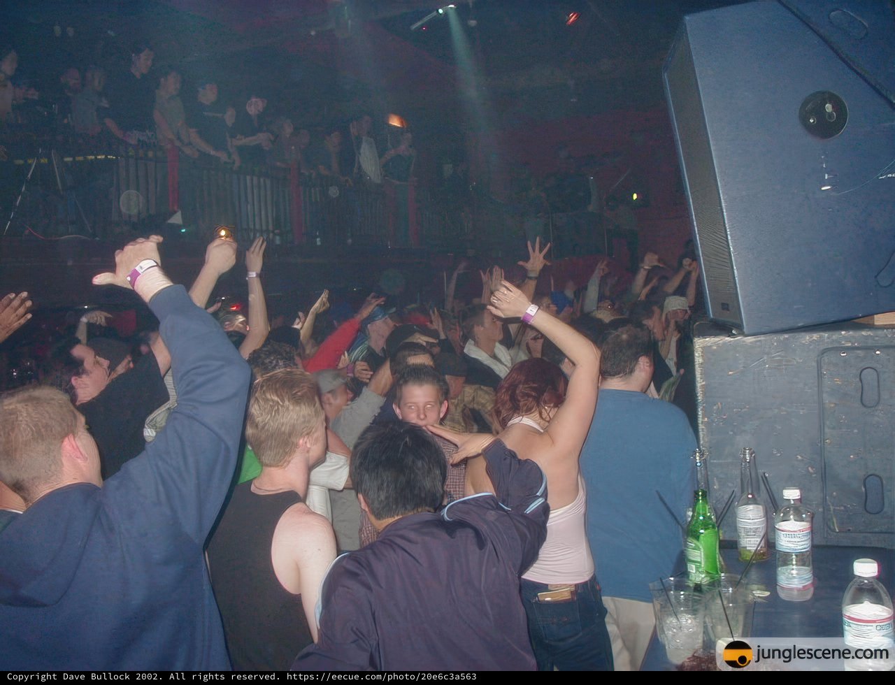 Nightclub Party with Upraised Hands