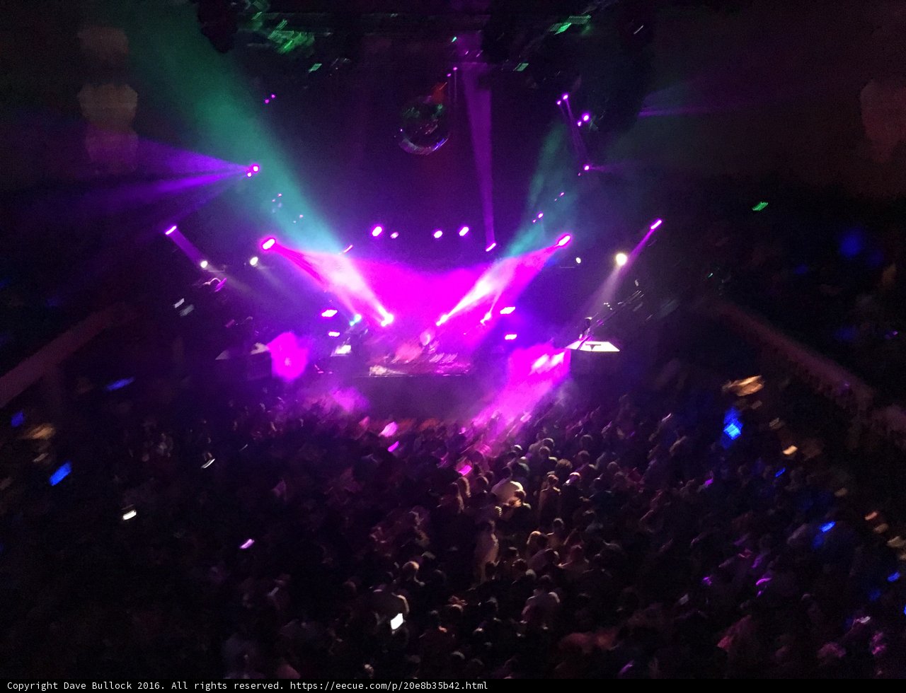 Spotlight on the Nightlife