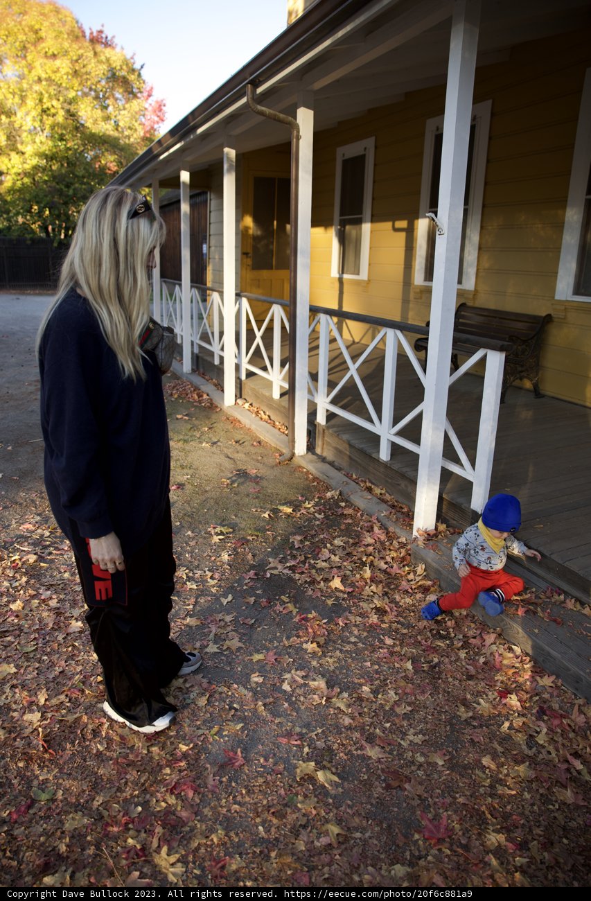 A Stroll in Downtown Sonoma