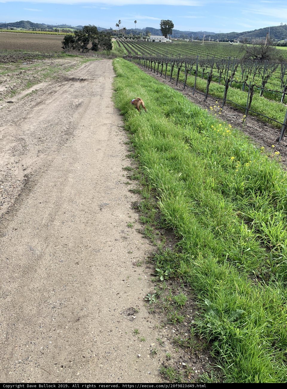 Alone in the Countryside