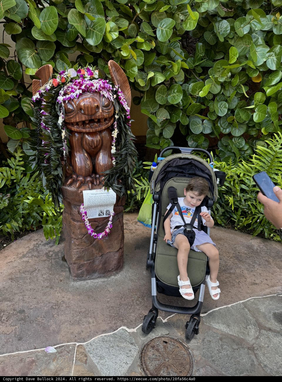 Tropical Tranquility at Aulani