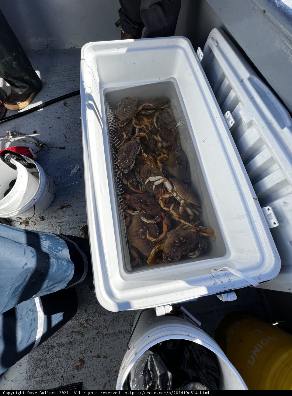 Crabbing on the Gulf of the Farallones