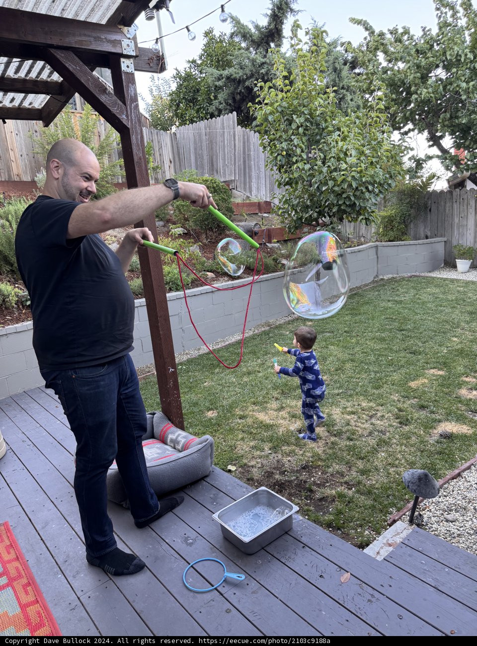 Bubble Magic in the Backyard