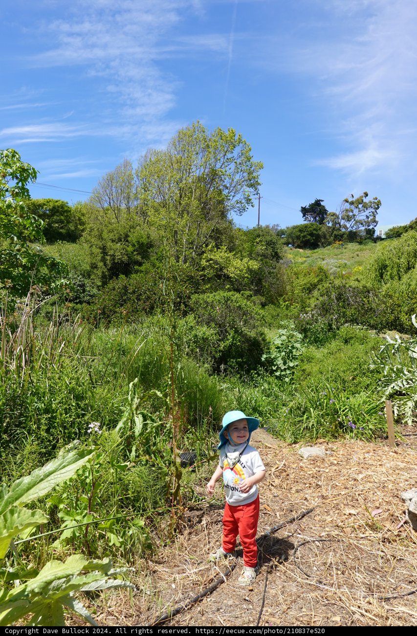 Little Explorer in Nature's Playground