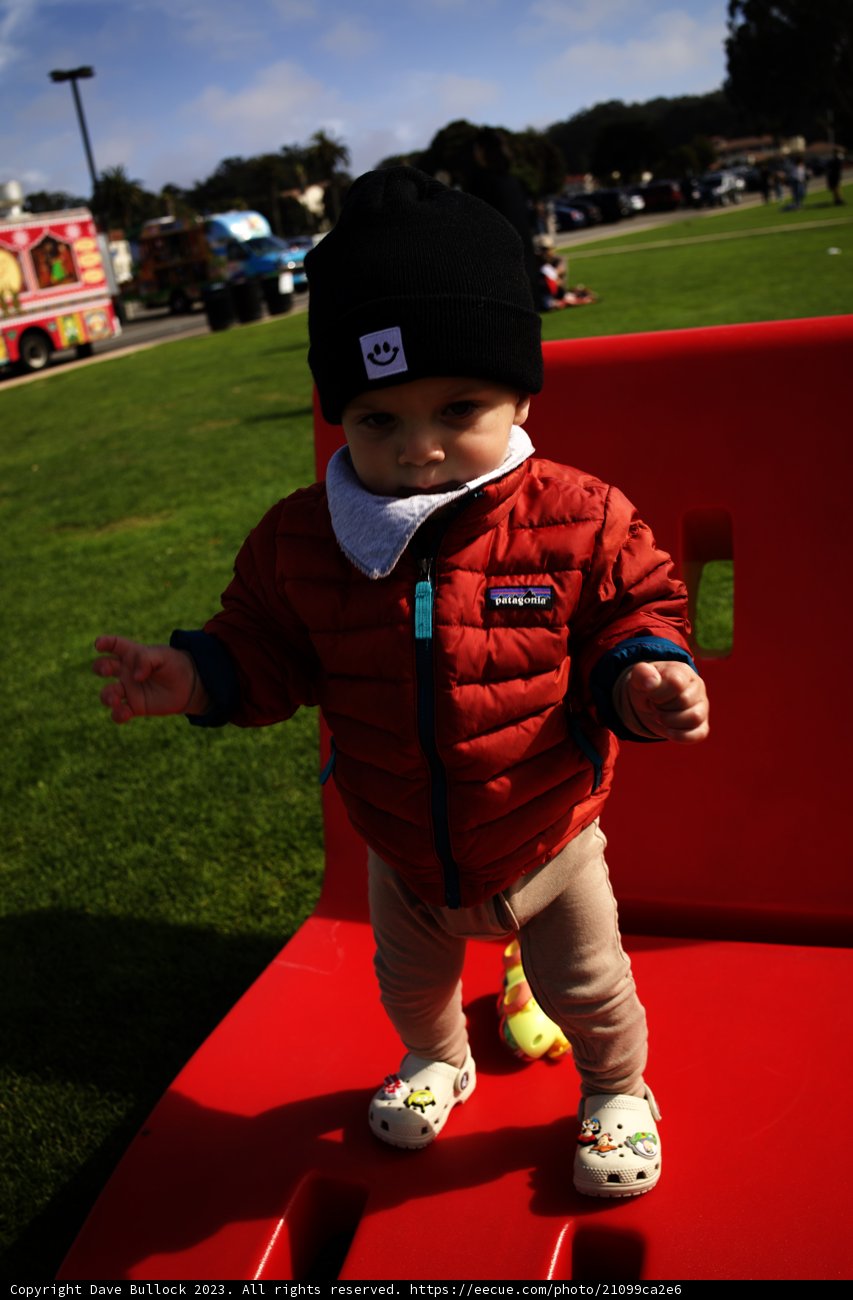 Fun In The Sun: Baby's Day Out