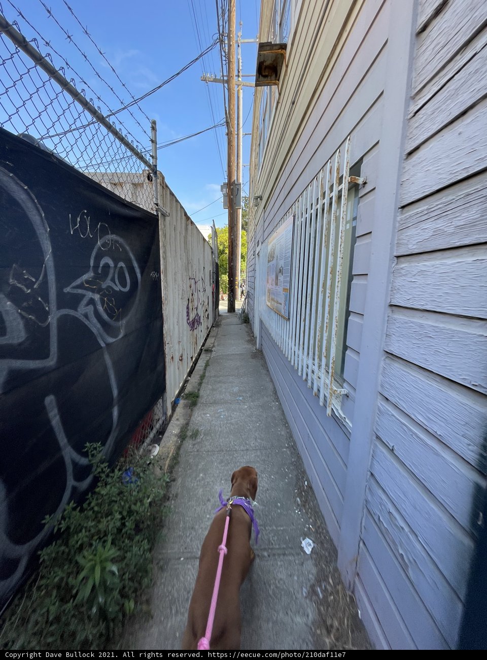 Graffiti Adventure