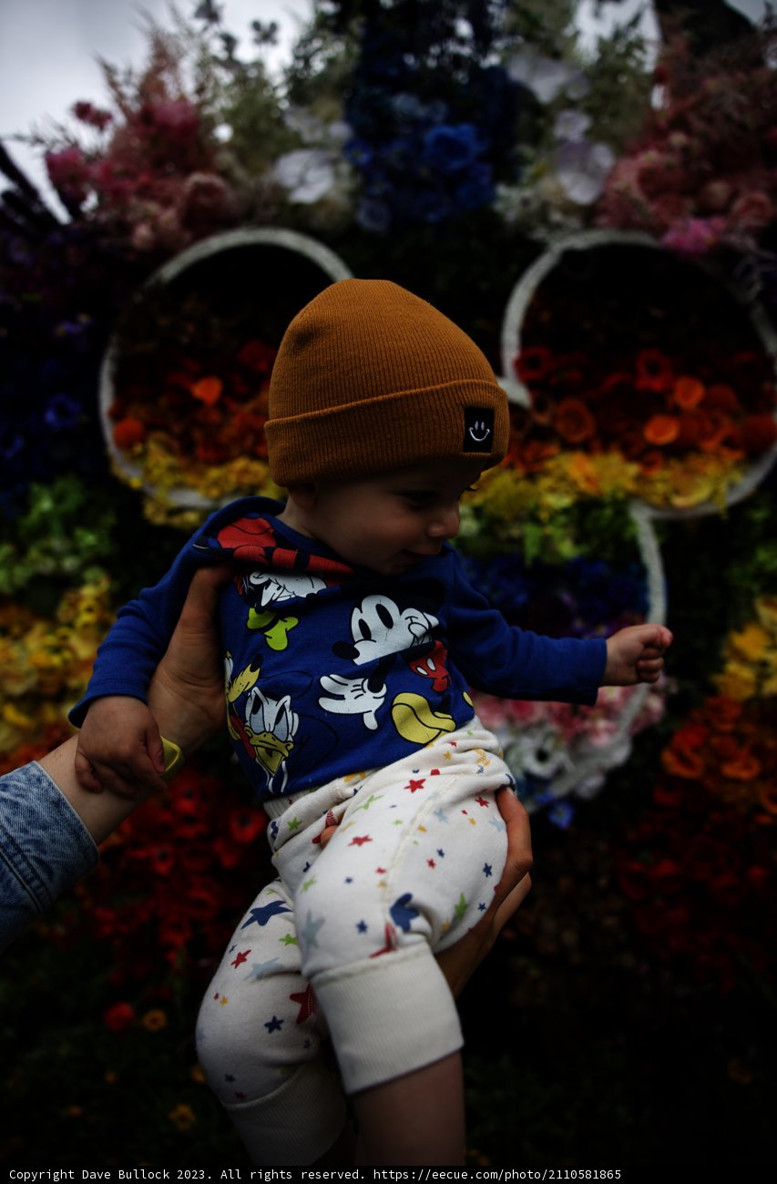 Blooming Memories at Disneyland