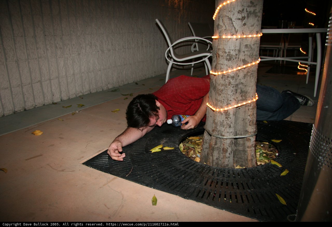 Sitting on the Sidewalk Caption: A man sits on the sidewalk, his hand resting on the tree trunk beside him.