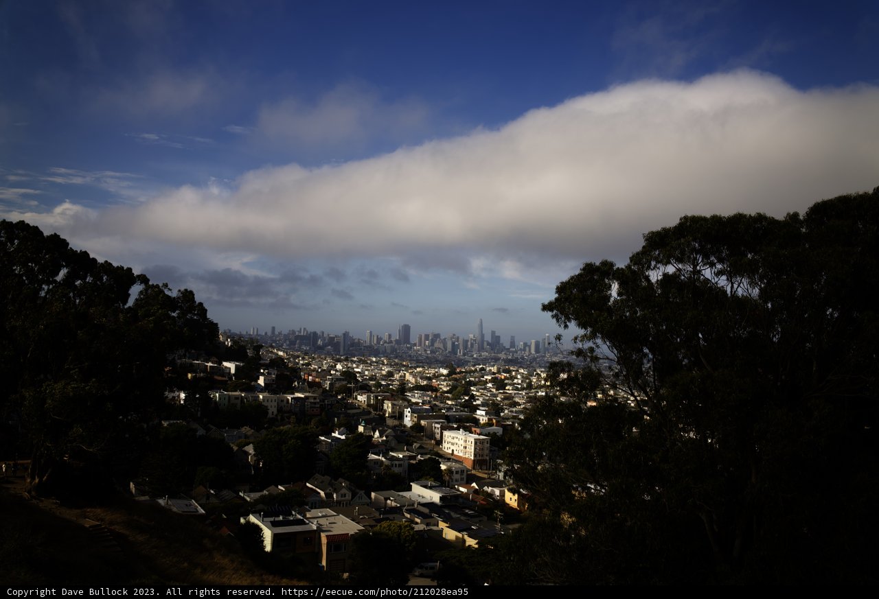 Hillside Haven: A San Francisco Cityscape
