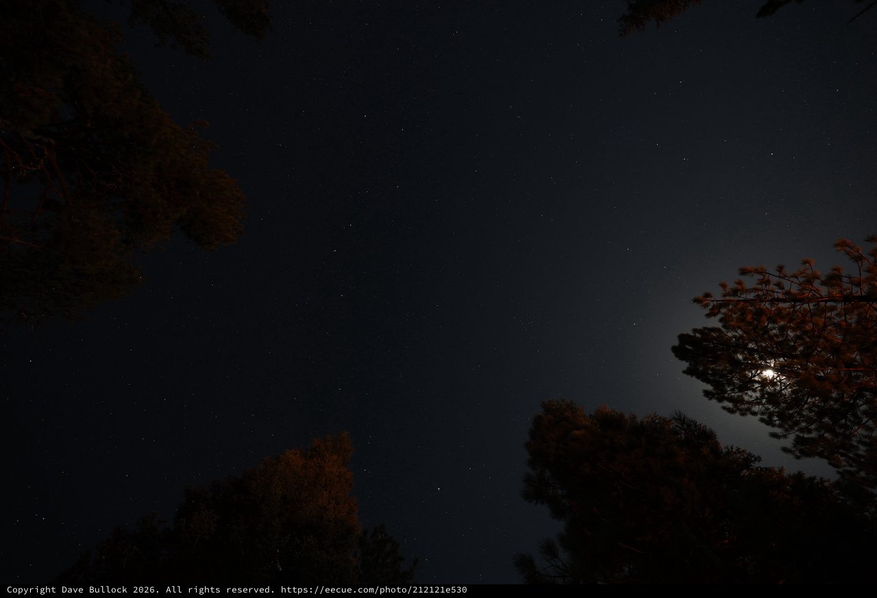 Moonlit Starry Sky Over Lassen Volcanic Forest