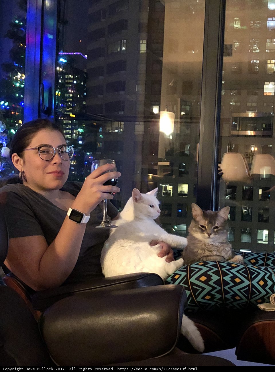 Cozy Cat Lady