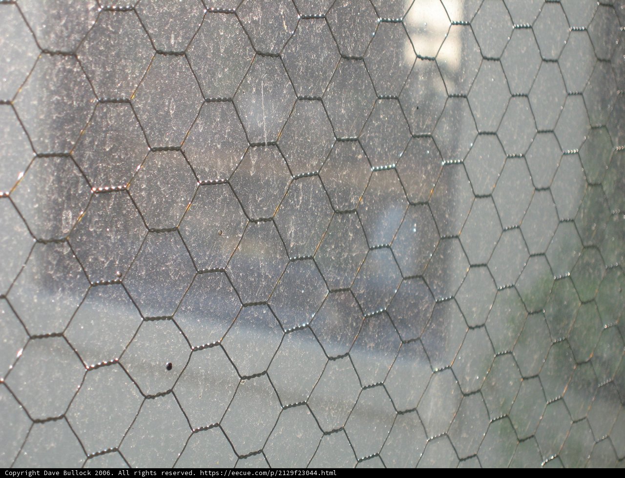 Texture of Nature