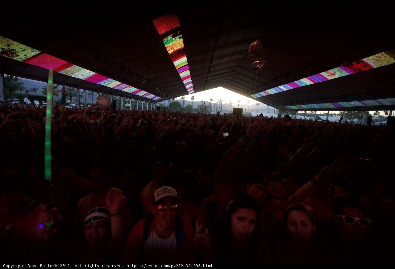 Electric Crowd at Coachella 2012