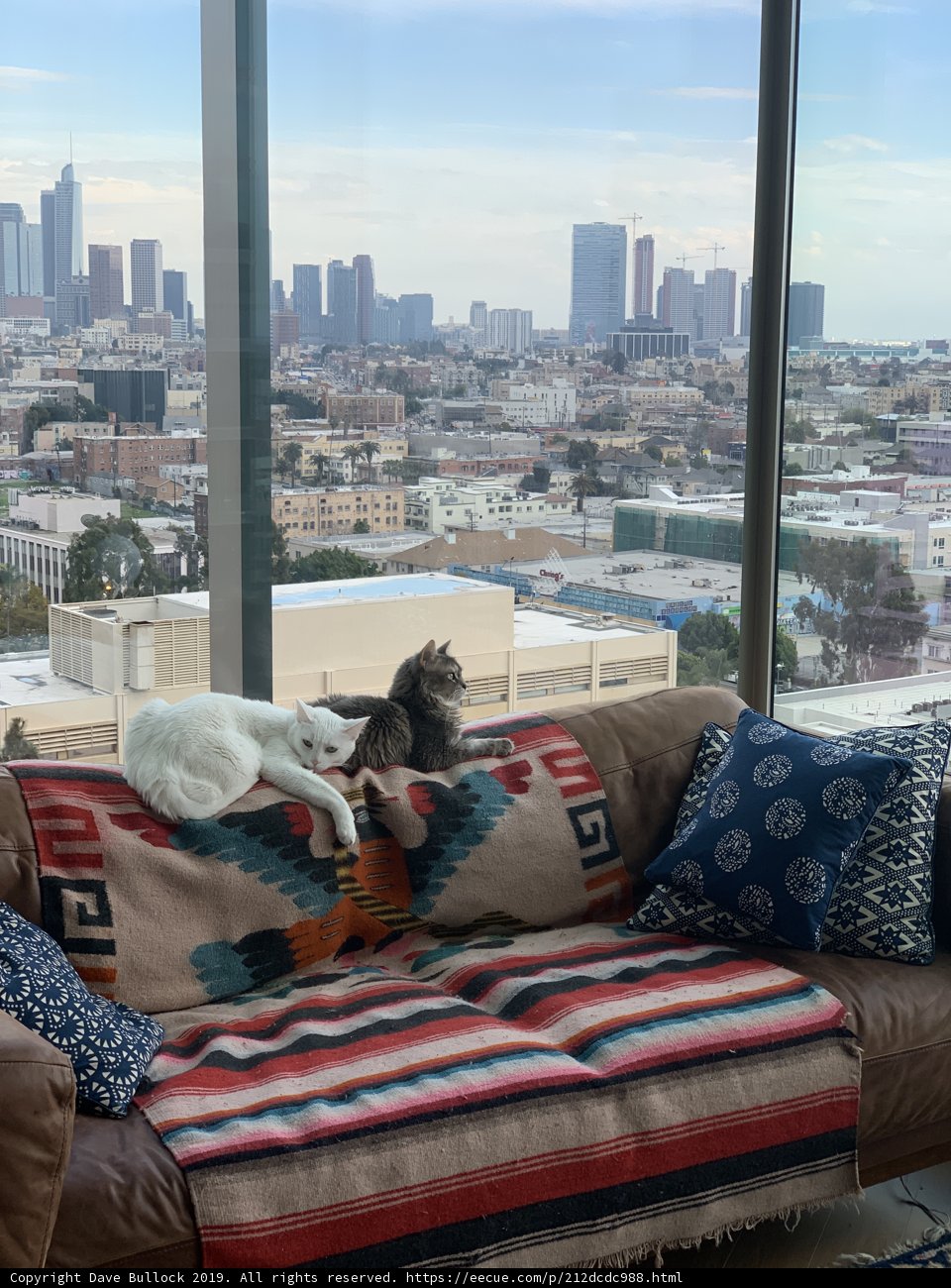 Feline Friends on a Cozy Couch