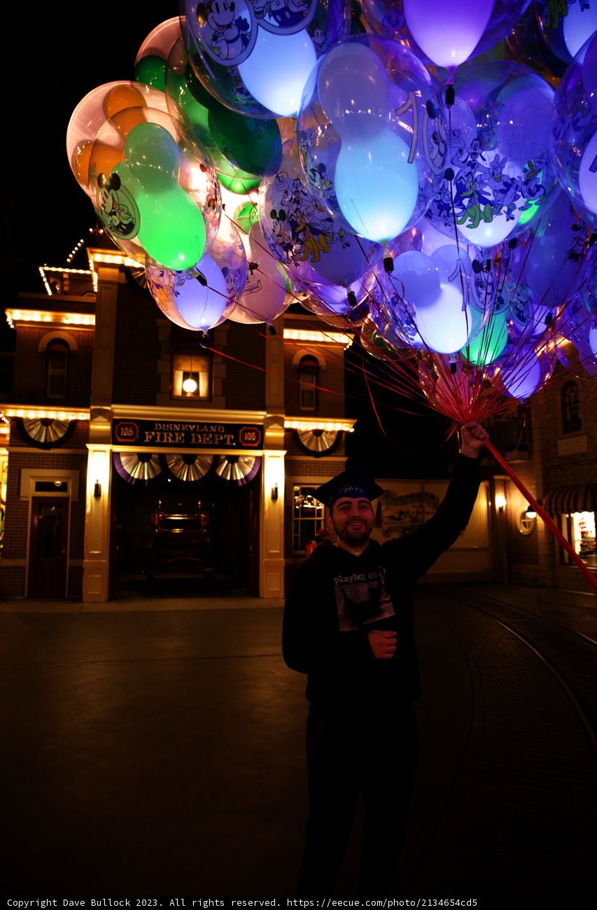 Magical Balloon Tree Encounter