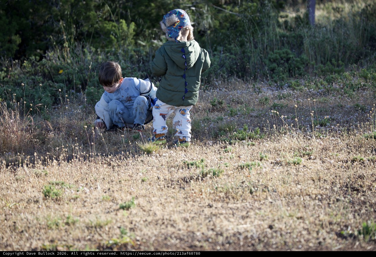 Young Explorers Discovering Nature at Mount Diablo