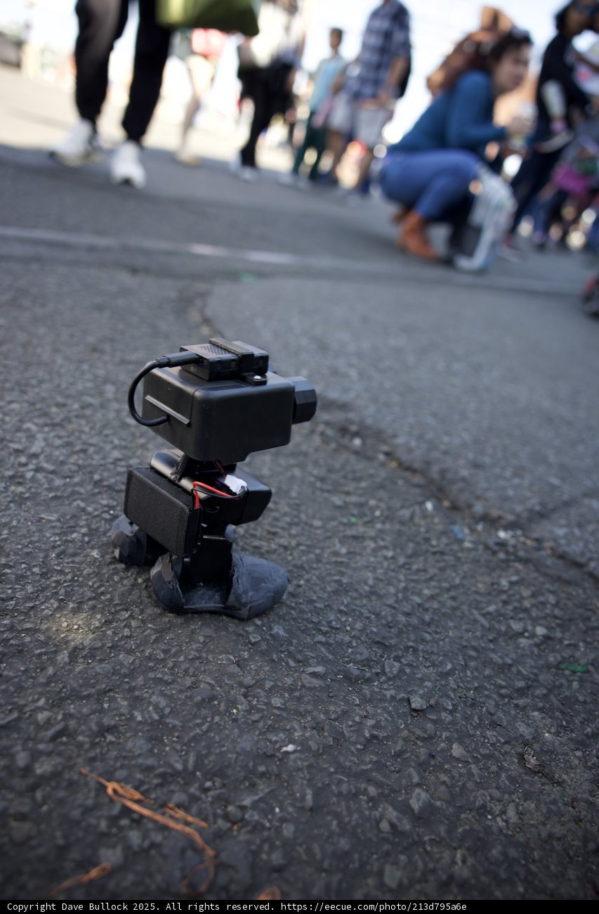 Miniature Marvel: A Robot's View