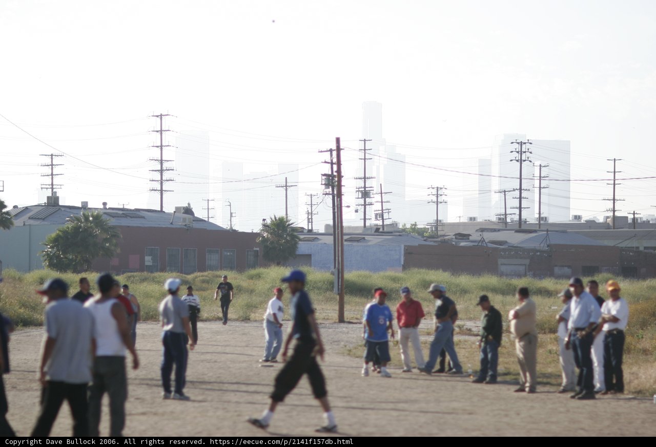 Gathering in the Field