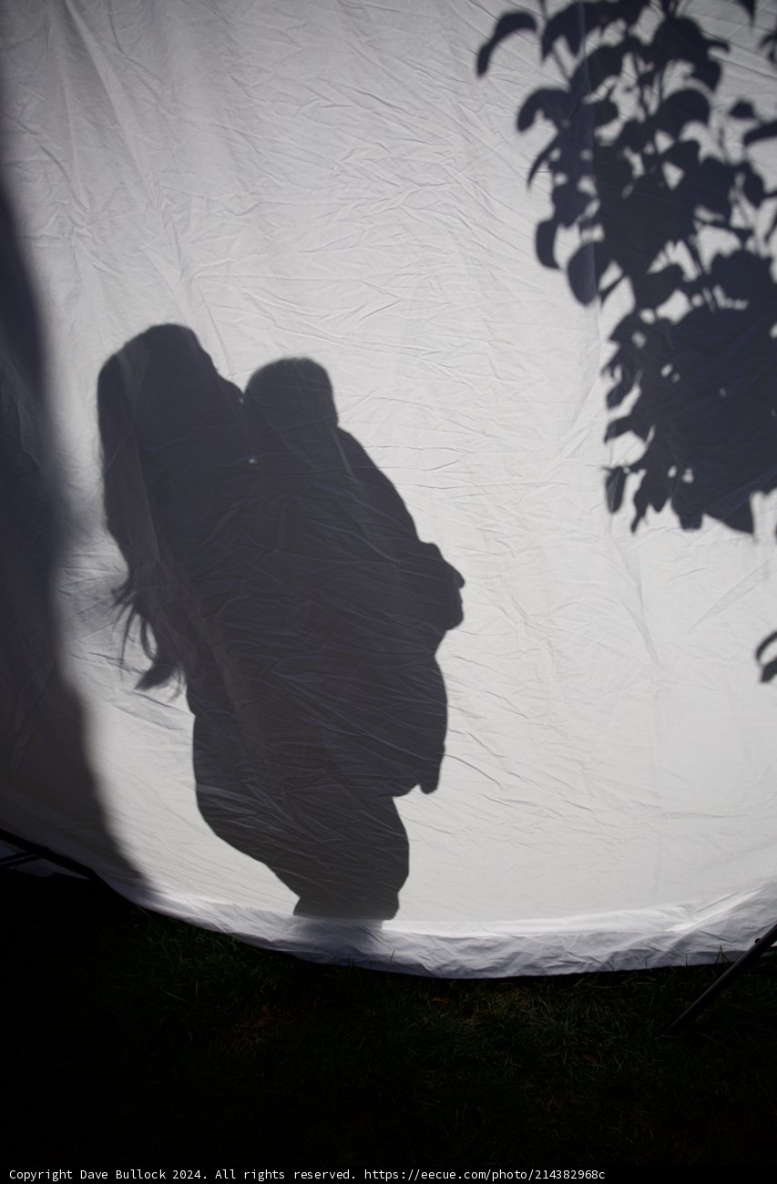 Expecting Shadows
