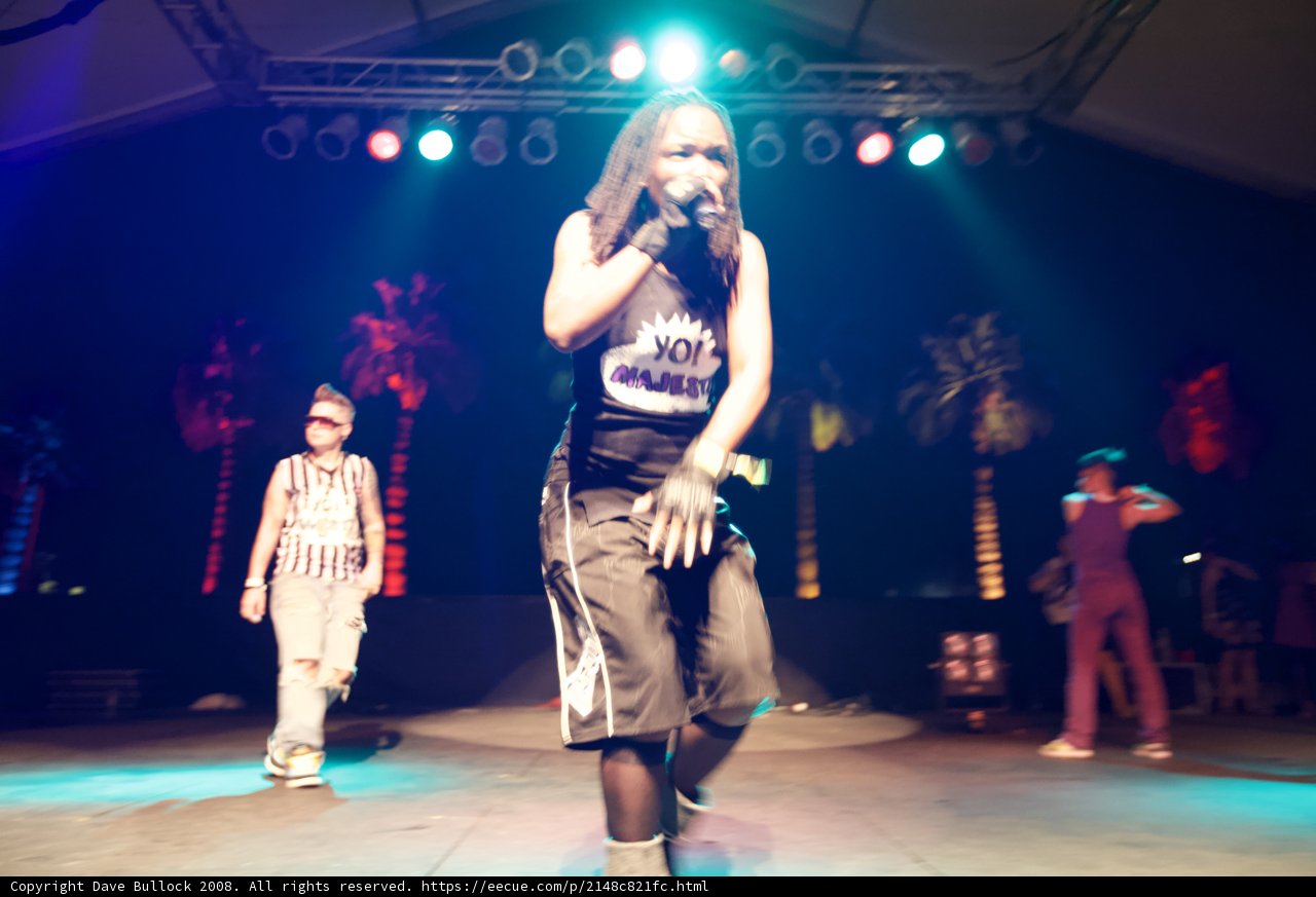 Spotlit Singer Takes the Stage at Coachella 2008
