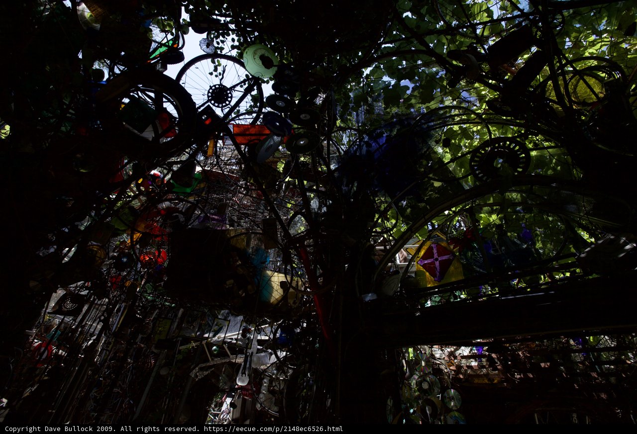 The Varied Treasures of the Austin Trash Chapel Garden