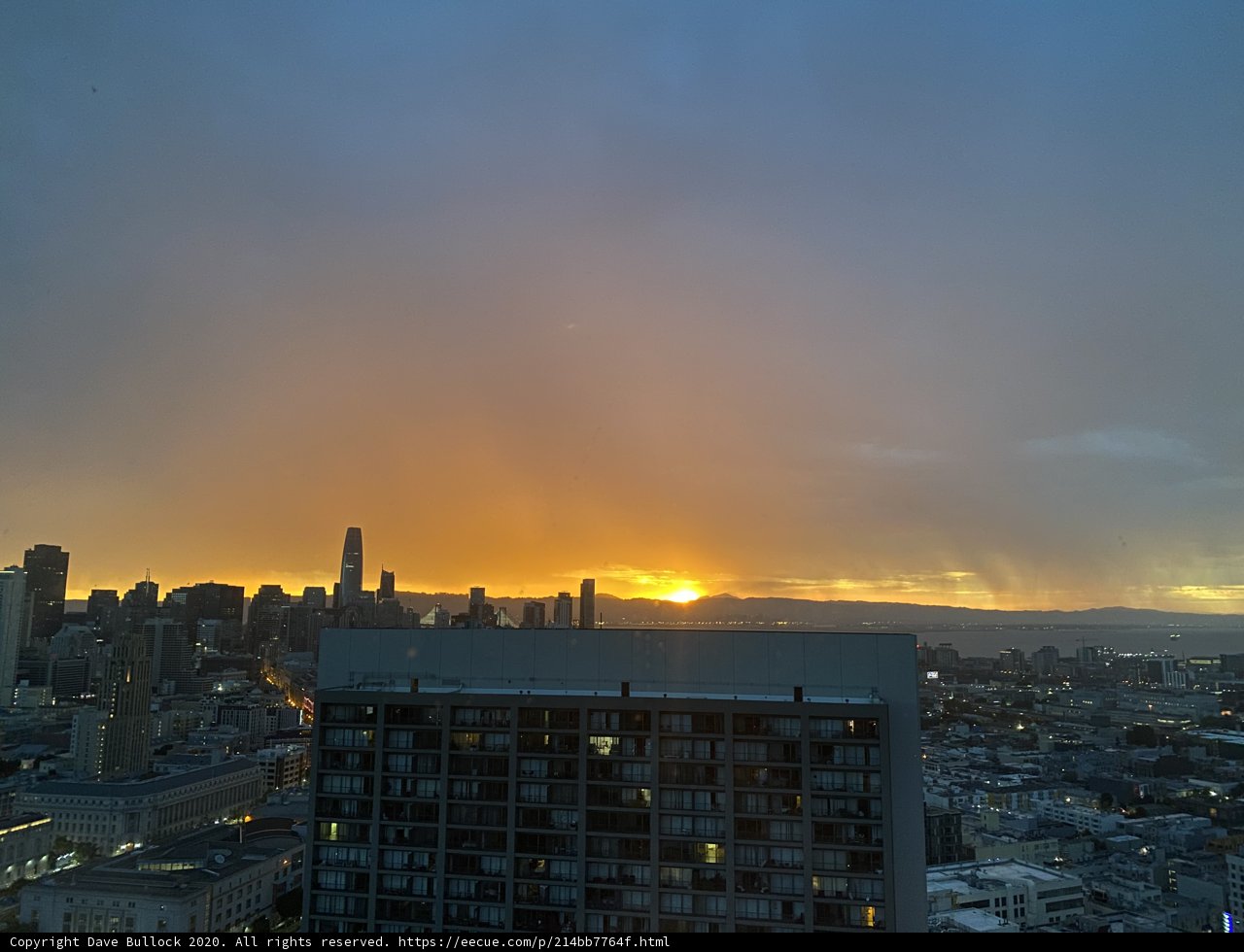 Golden Horizon