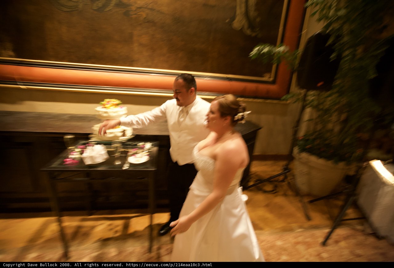 The Newlyweds and their Marvelous Cake