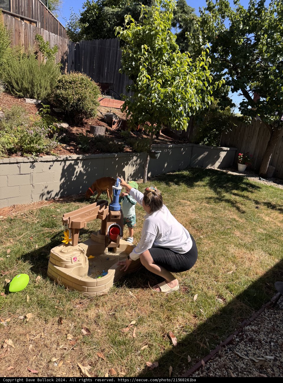 Morning Fun in the Backyard