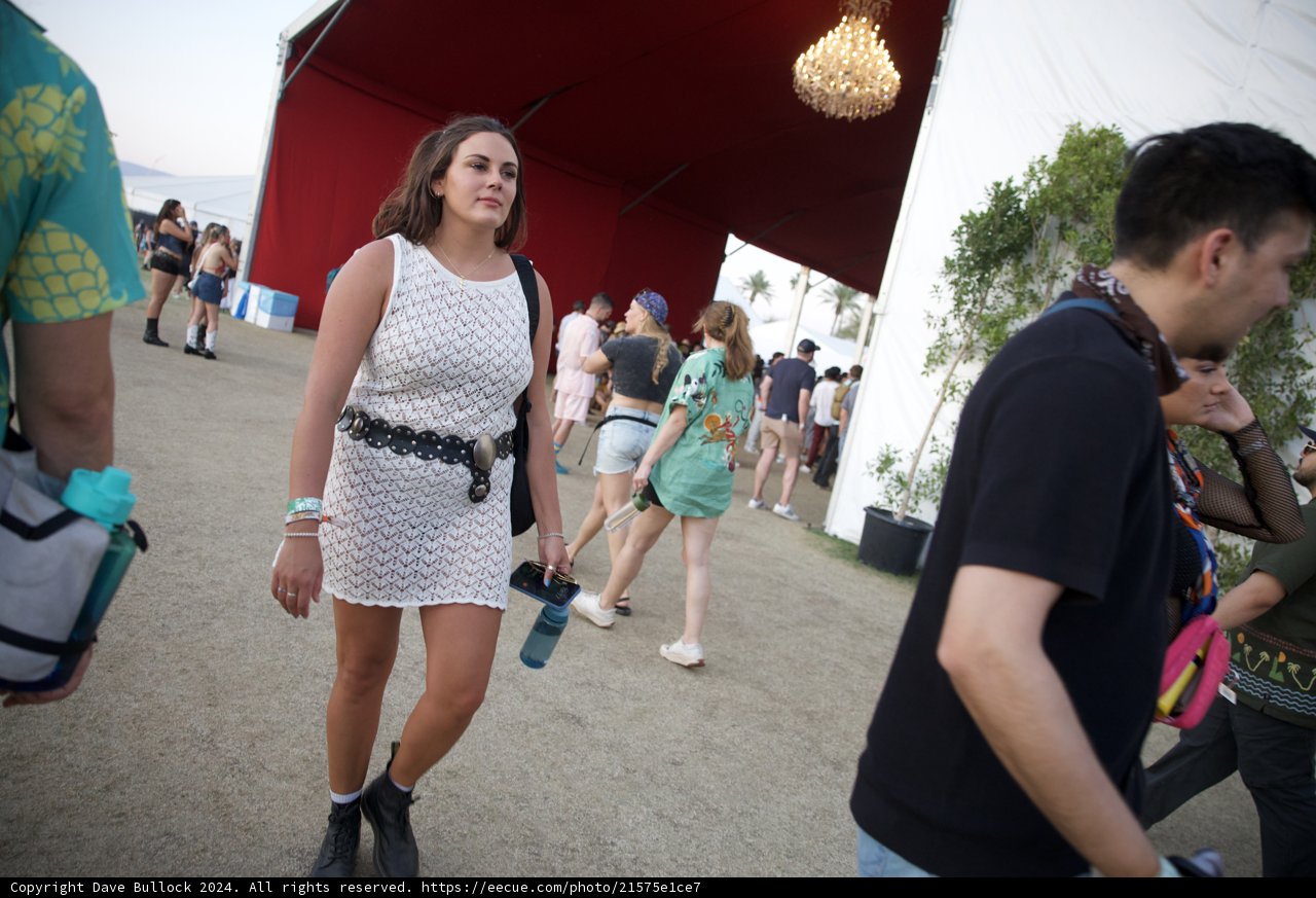 Stylish Moments at Coachella 2024