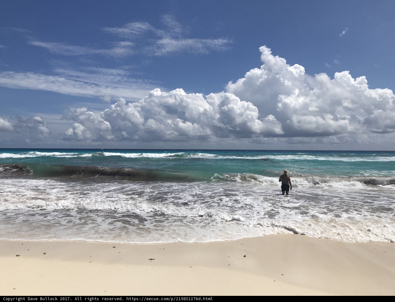 Serenity at the Shoreline
