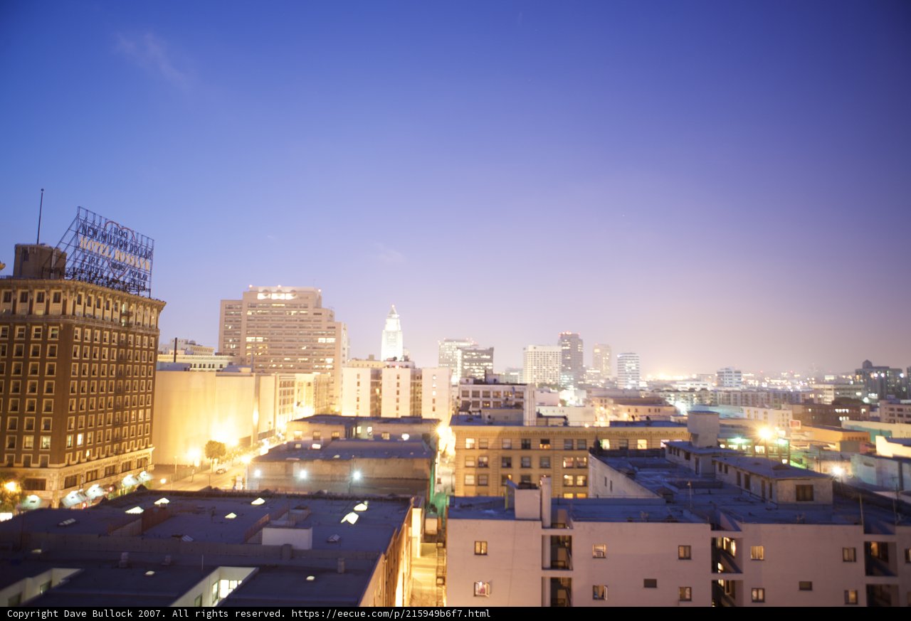 Bright Lights of the Urban Jungle