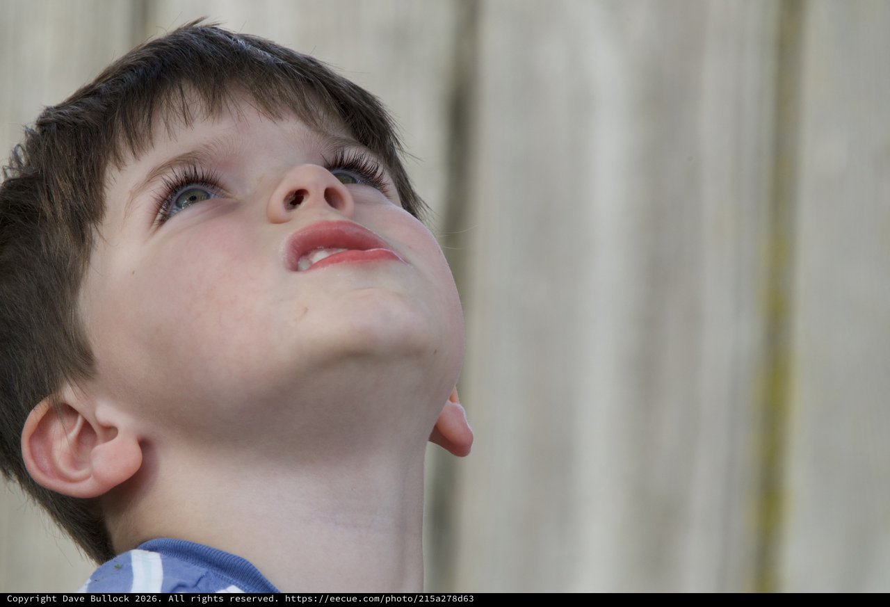Young Boy Gazing Upward in Wonder