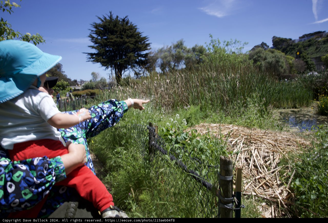 Tiny Explorer at Alemany Farm Earth Day