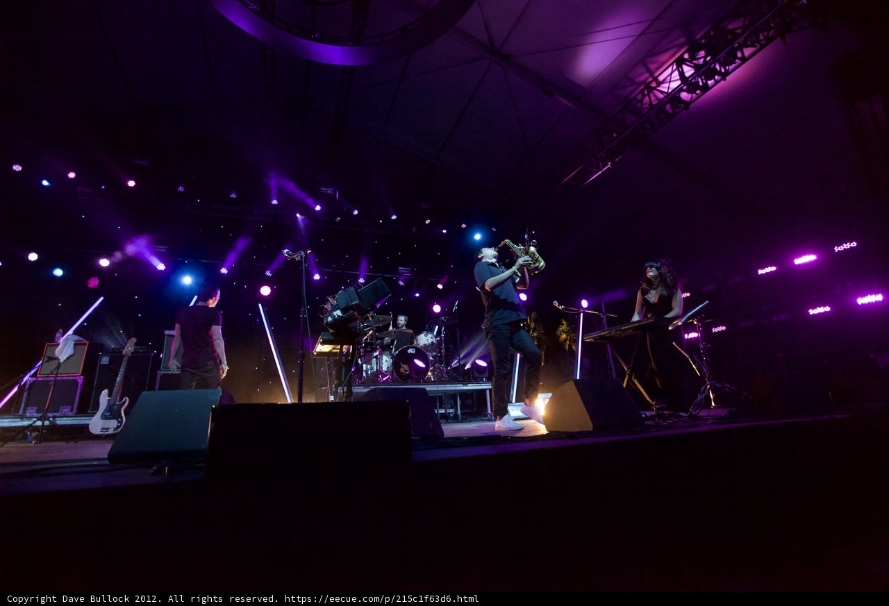 Purple Haze Performance
